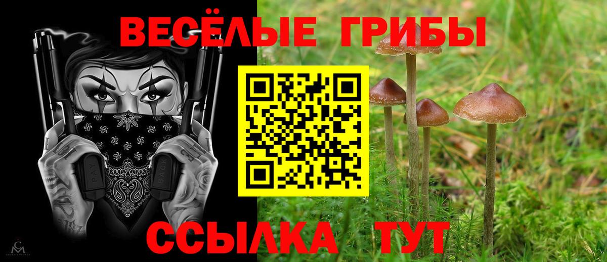 Галлюциногенные грибы GOLDEN TEACHER Александров