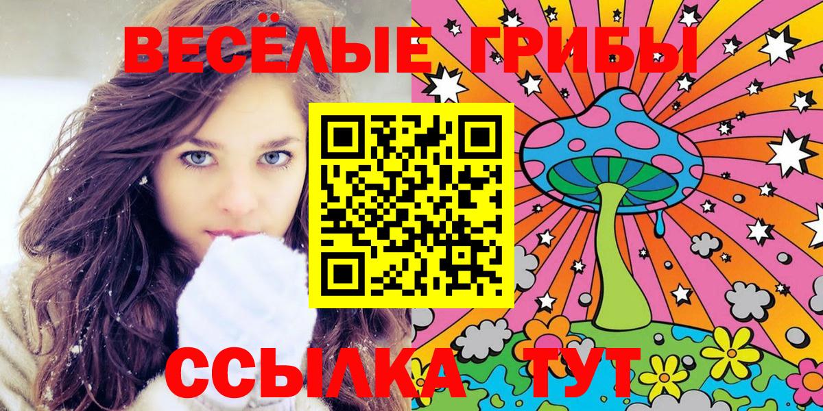 закладки  Псилоцибиновые грибы Psilocybine cubensis  Псилоцибиновые грибы Psilocybe  Вход с VPN  Александров 